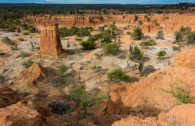 Excursión al Desierto de la Tatacoa - Foto 1