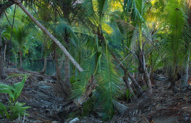 Tour to San Pedrillo - Foto 4