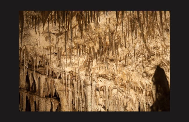 Excursão às Cuevas del Drach de um dia completo saindo do sul de Mallorca - Foto 1