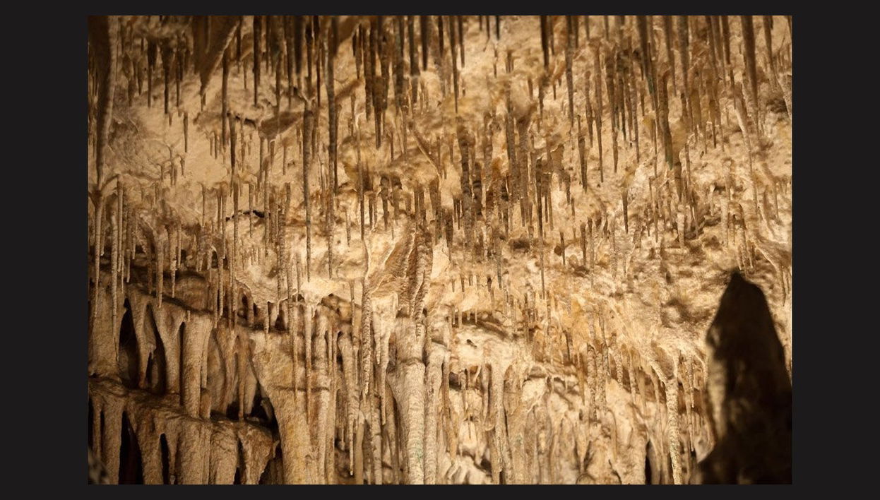 Excursión a las cuevas del Drach de día completo desde el sur de Mallorca - Foto 1