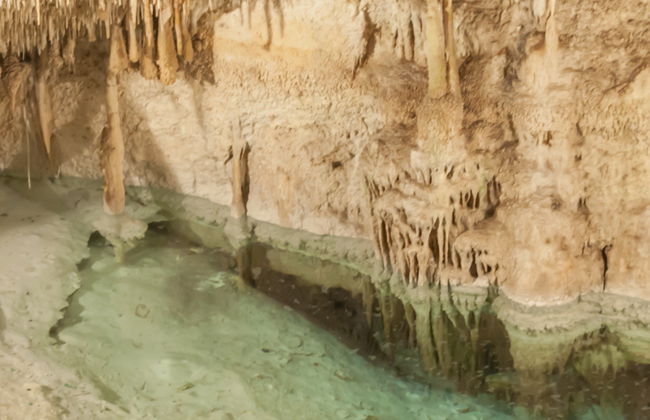Excursión a las cuevas del Drach de día completo desde el sur de Mallorca - Foto 3