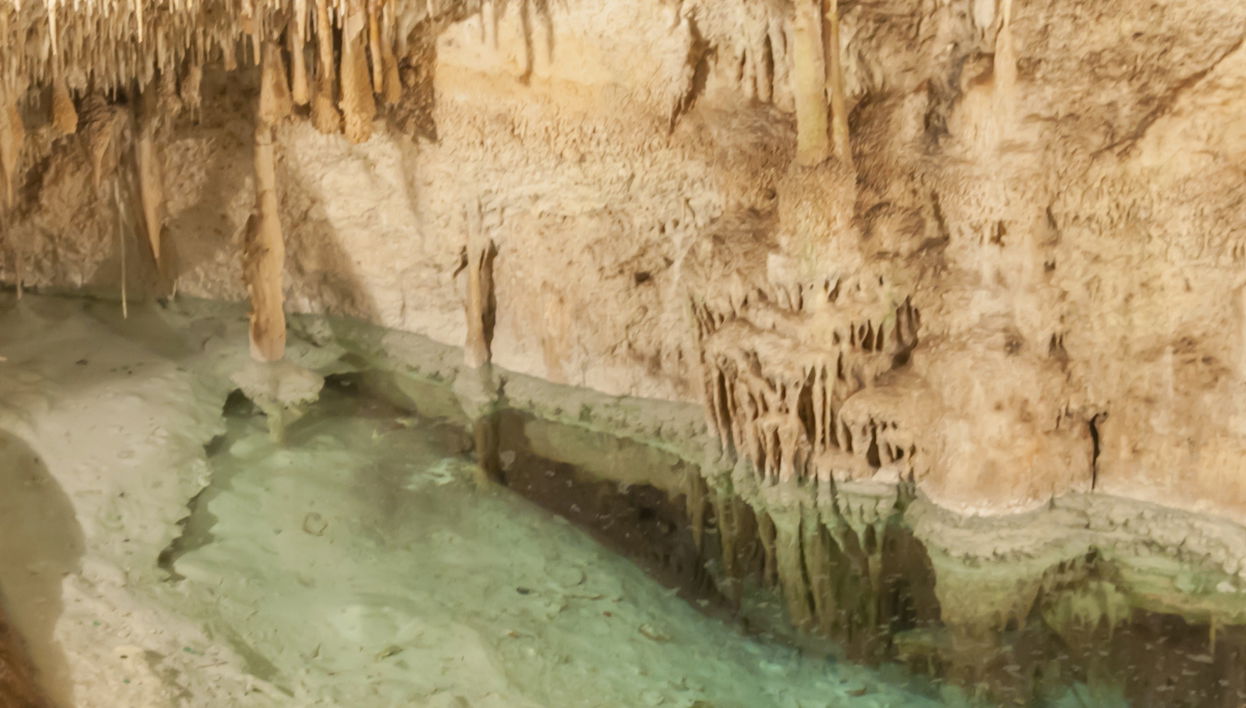 Drach Caves Day Trip from South Mallorca - Photo 2