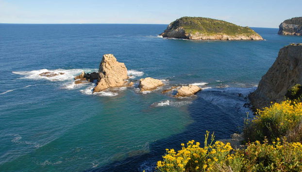 Excursión a los cabos de Jávea e isla de Portichol en barco - Foto 5
