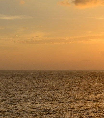 Foto de Paseo en catamarán y atardecer en Rick’s Café