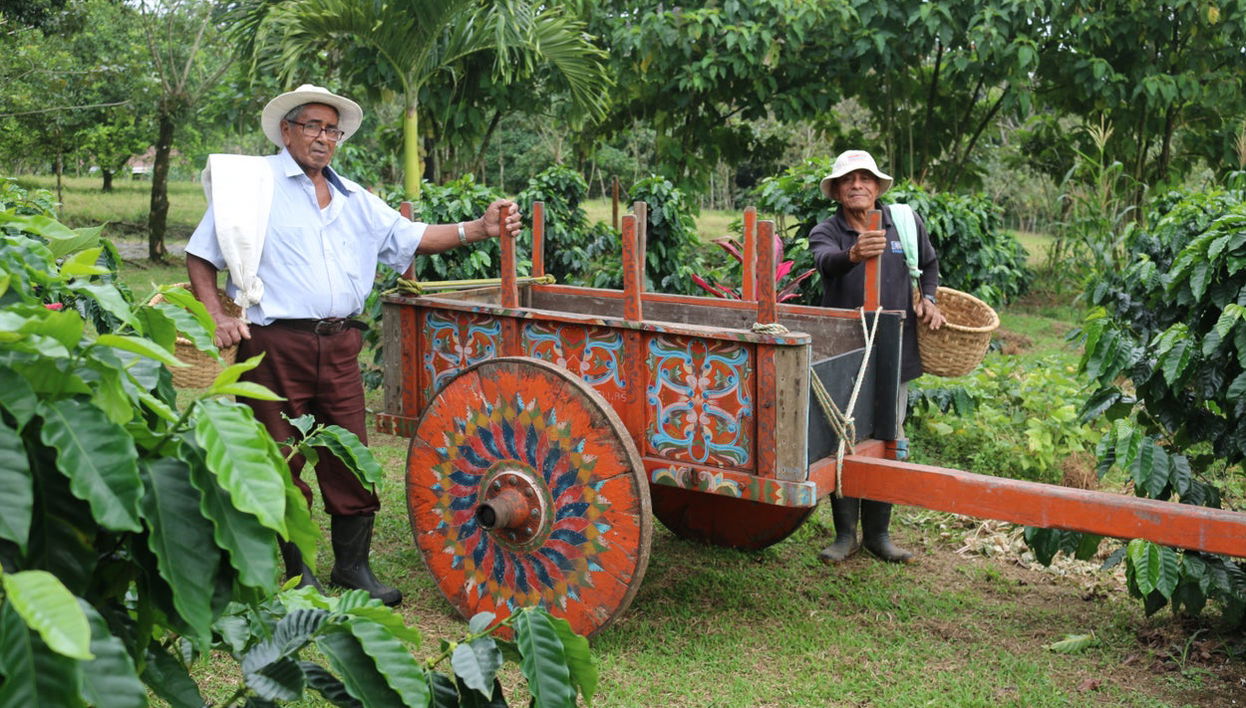 Tour del café y el chocolate - Foto 1