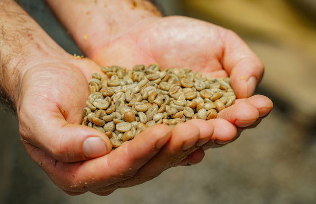 Tour del café y el chocolate - Foto 3