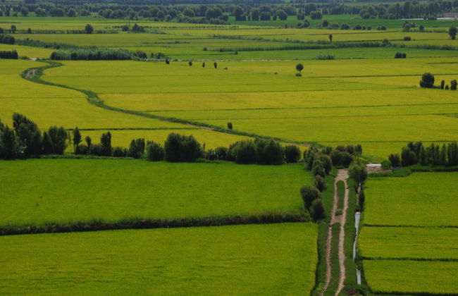 Excursion à Moquegua - Photo 1