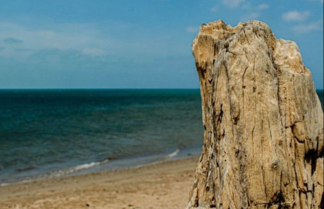 Excursión a las playas de Cabo de la Vela - Foto 3