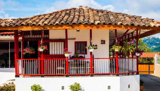 Orchid Farm Tour - Photo 3