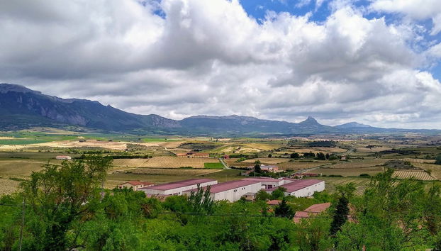 Tour in Laguardia - Photo 2