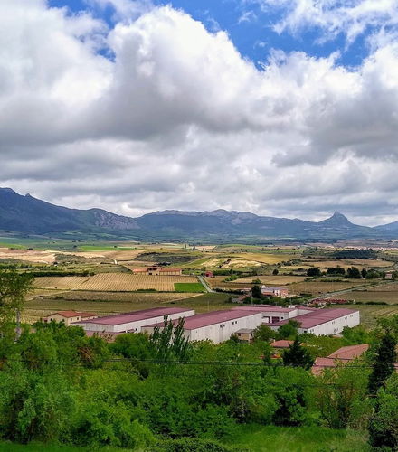 Foto de Tour privado por Laguardia ¡Tú eliges