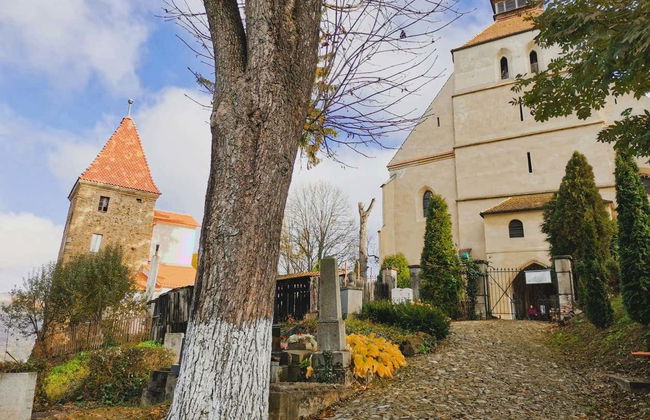 Visita guidata di Sighisoara - Foto 1
