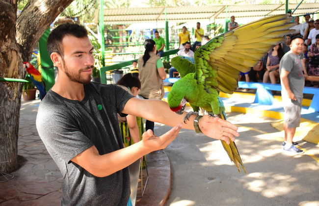 Tour por Mazatlán + Acuario - Foto 4