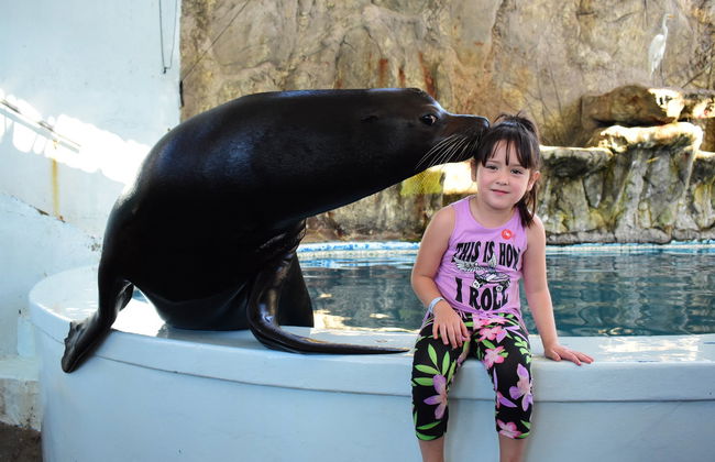 Tour por Mazatlán + Acuario - Foto 5