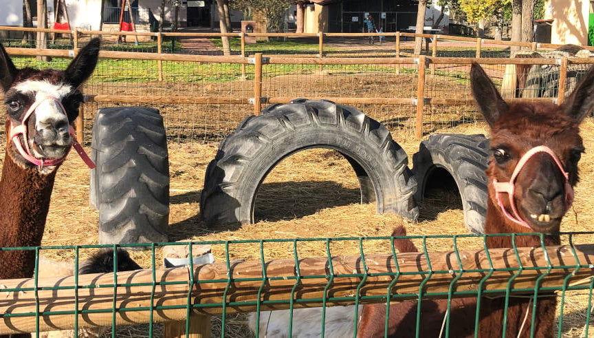 Biglietti per La Manreana