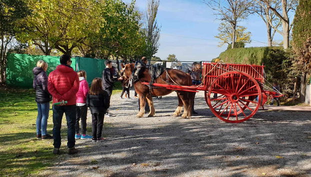Passeggiata in pony a La Manreana