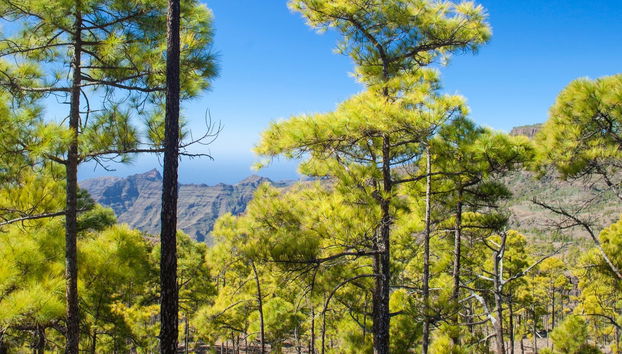 Senderismo por los Azulejos de Veneguera - Foto 2