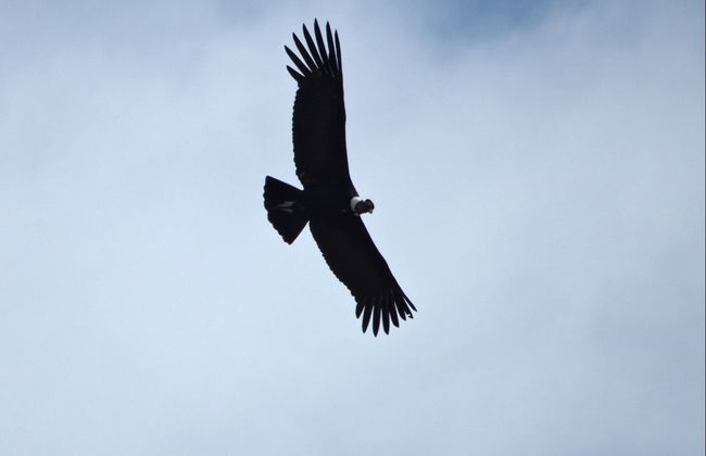 Excursión a los túneles de las Altas Cumbres y Mina Clavero - Foto 6