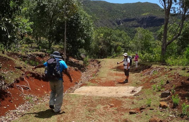 Trilha pelo Parque Nacional Gargantas do Rio Negro - Foto 2