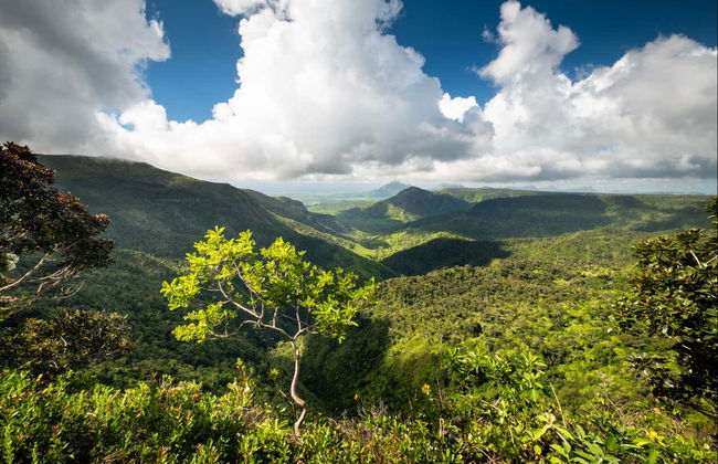 Trilha pelo Parque Nacional Gargantas do Rio Negro - Foto 4