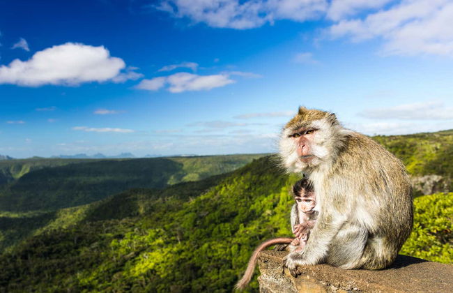 Trilha pelo Parque Nacional Gargantas do Rio Negro - Foto 6