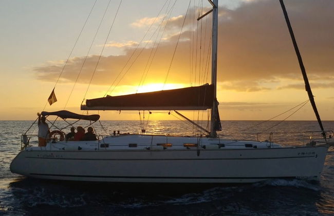 Alquiler de barco con patrón en Tazacorte - Foto 6