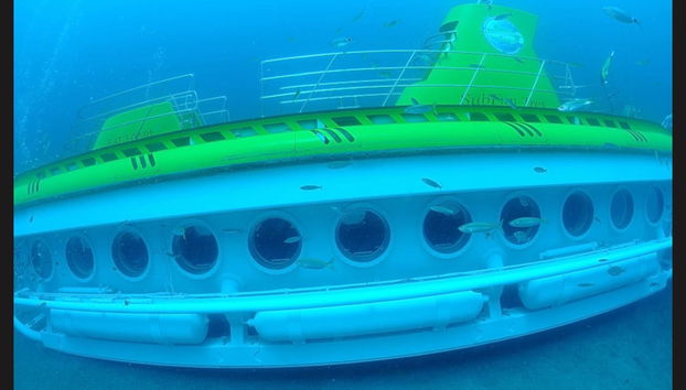 Paseo en submarino por Puerto Calero - Foto 3