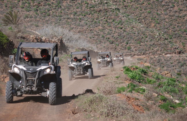 Tour en buggy por Guatiza y Mala - Foto 3