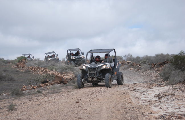Tour en buggy por Guatiza y Mala - Foto 4