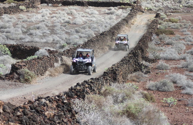 Tour en buggy por Guatiza y Mala - Foto 7
