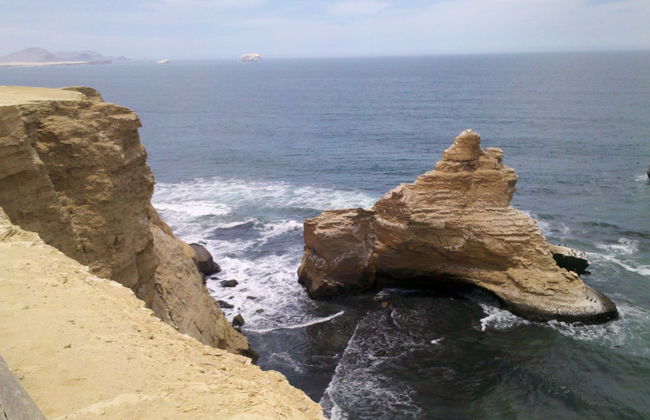 Excursion à la Réserve Nationale de Paracas - Photo 3