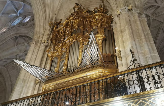 Visita guidata della cattedrale di Almeria - Foto 6