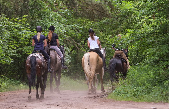 San Lorenzo Natural Reserve Horseback Riding - Foto 2