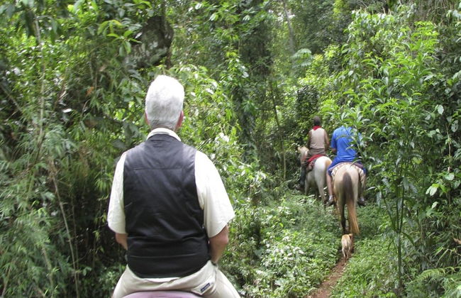Balade à cheval dans la Réserve Naturelle de San Lorenzo - Photo 3