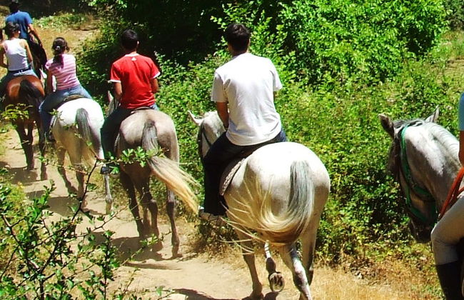 Balade à cheval dans la Réserve Naturelle de San Lorenzo - Photo 4