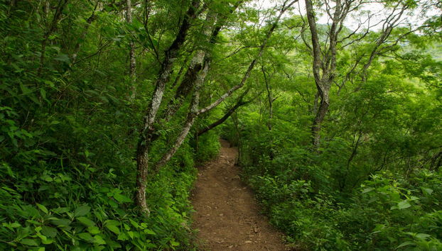 Balade à cheval dans la Réserve Naturelle de San Lorenzo - Photo 3