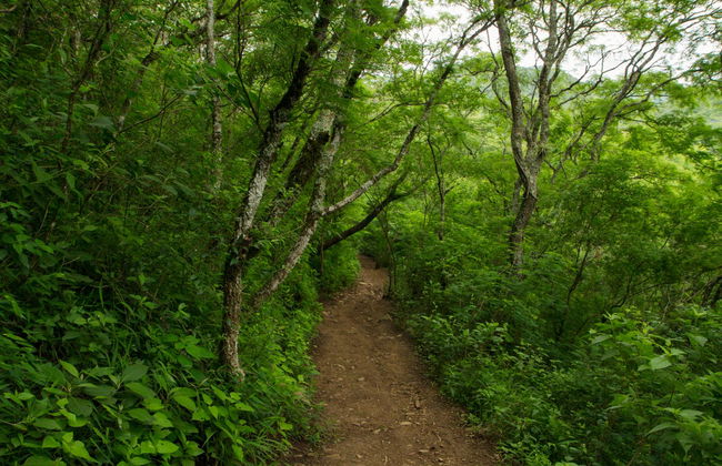 San Lorenzo Natural Reserve Horseback Riding - Foto 3