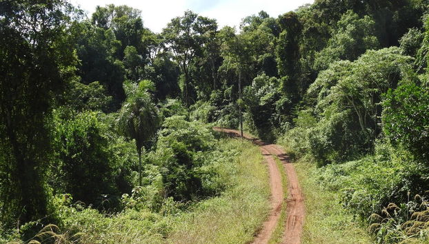 Balade à cheval dans la Réserve Naturelle de San Lorenzo - Photo 5