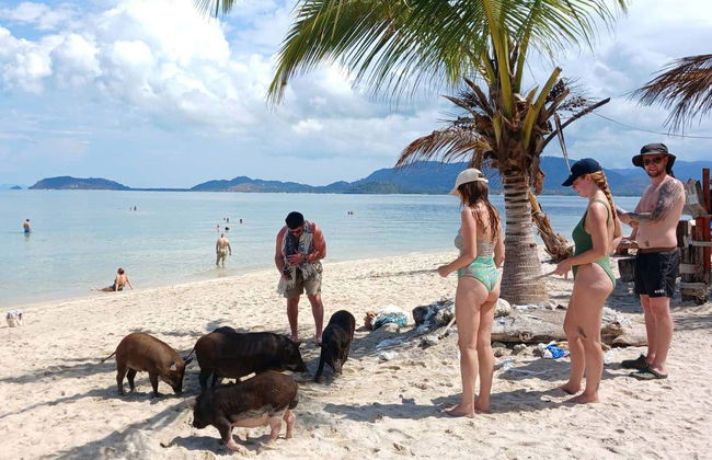 Day Trip to Pig Island - Photo 4