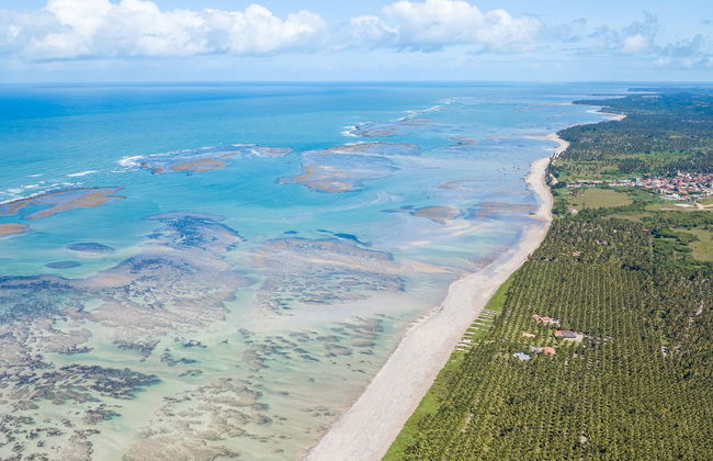 Excursão privada a São Miguel dos Milagres - Foto 2