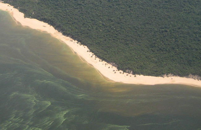 Tour pelos rios de Santarém - Foto 9