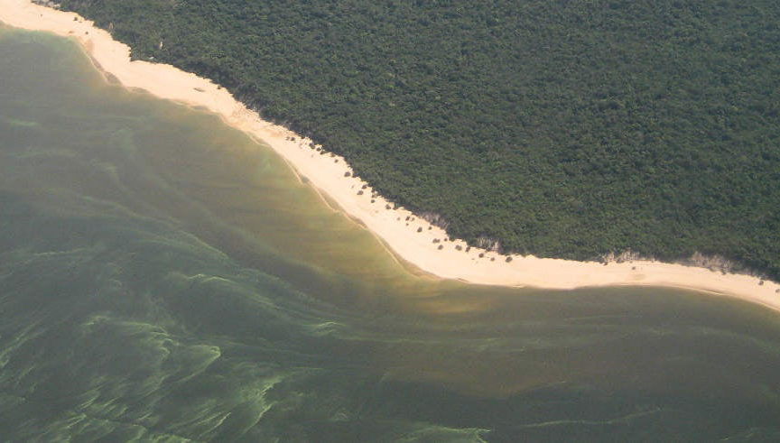Tour pelos rios de Santarém
