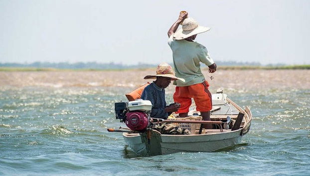 Tour pelos rios de Santarém - Foto 3