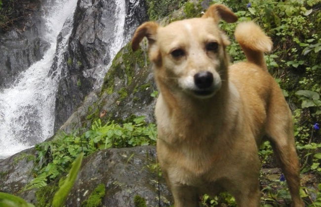 Senderismo por la cascada del Secreto - Foto 4
