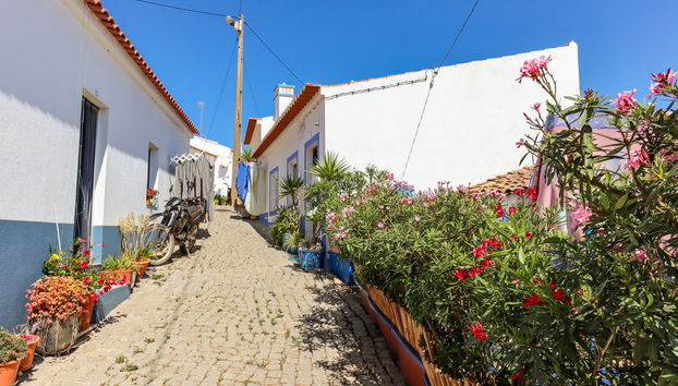 Tour en 4x4 por la Costa Vicentina - Foto 4