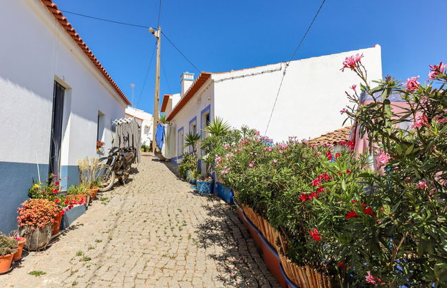 Tour en 4x4 por la Costa Vicentina - Foto 4