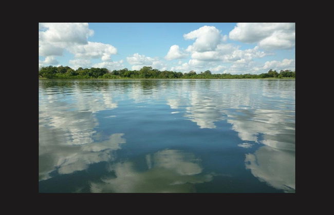 Mangroves of Tumbes Tour - Photo 6