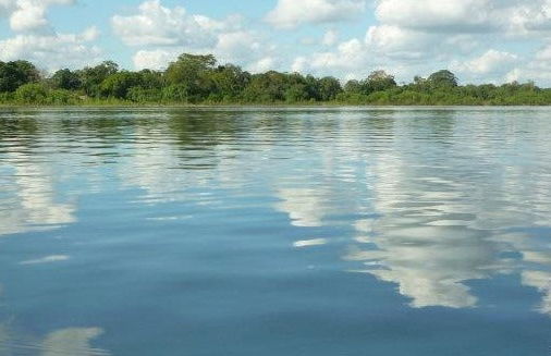 Mangroves of Tumbes Tour - Photo 7