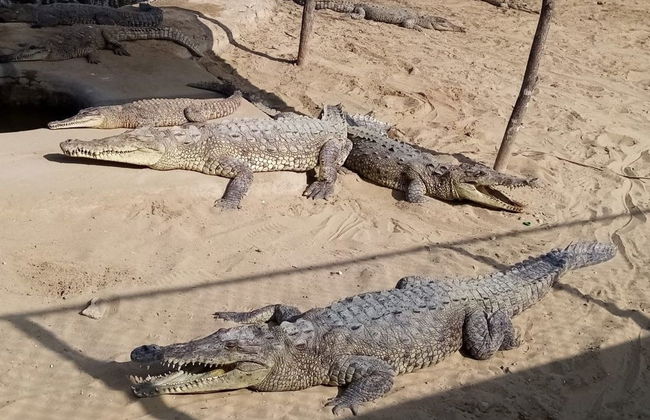 Mangroves of Tumbes Tour - Photo 5