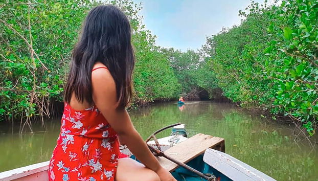 Mangroves of Tumbes Tour - Foto 2
